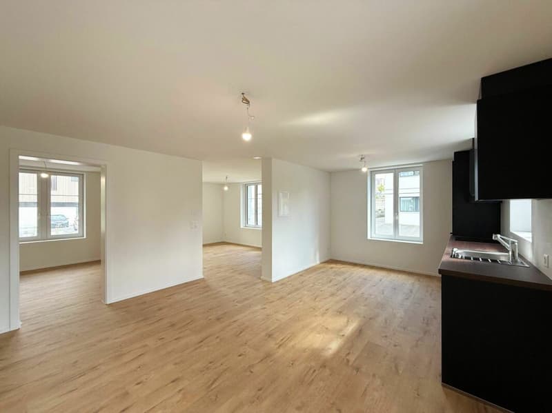 Modern renovated 3.5 room rental apartments with balcony (5)