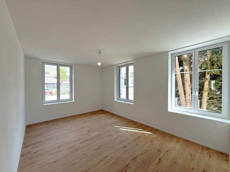 Modern renovated 3.5 room rental apartments with balcony (4)