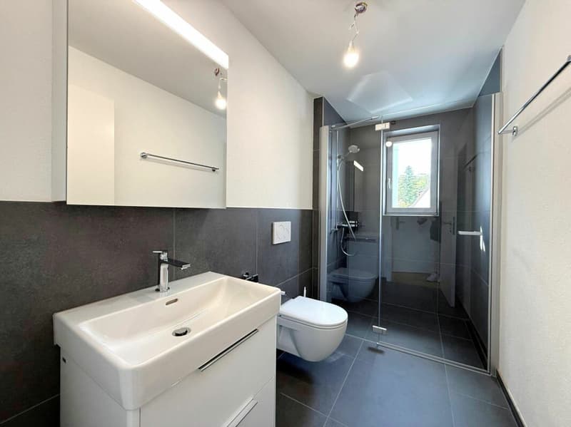 Modern renovated 3.5 room rental apartments with balcony (7)