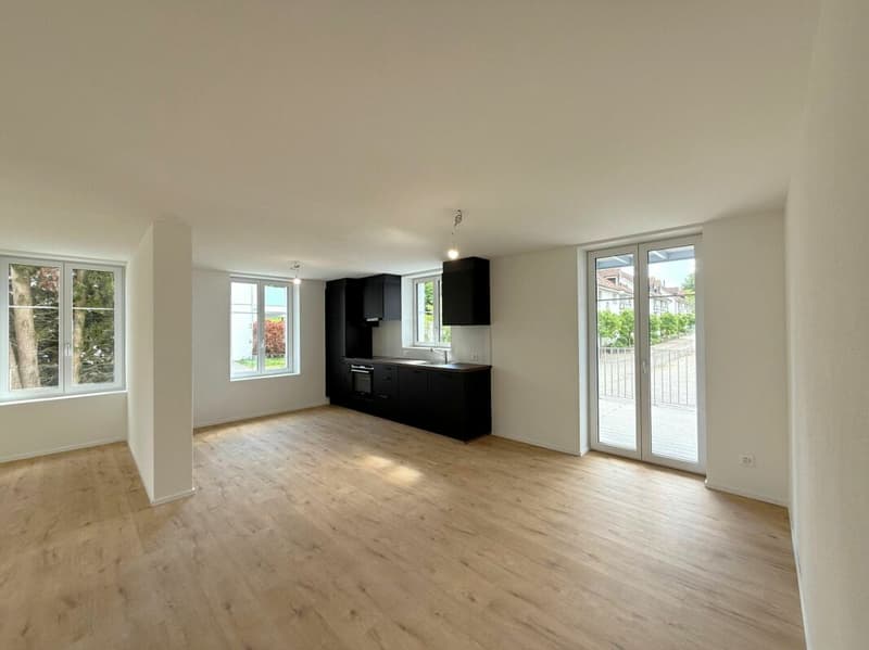 Modern renovated 3.5 room rental apartments with balcony (3)