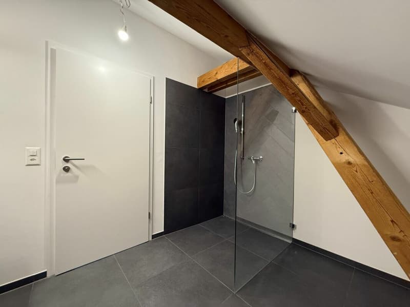 Completely renovated 3.5-room attic apartments in the heart of Romanshorn (7)