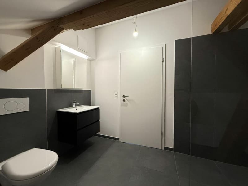 Completely renovated 3.5-room attic apartments in the heart of Romanshorn (5)