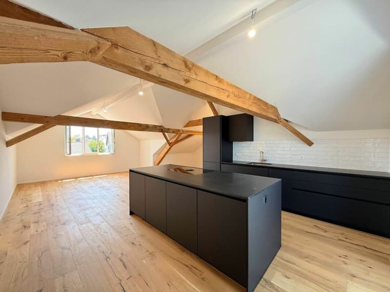 Completely renovated 4.5-room apartments in the heart of Romanshorn (8)