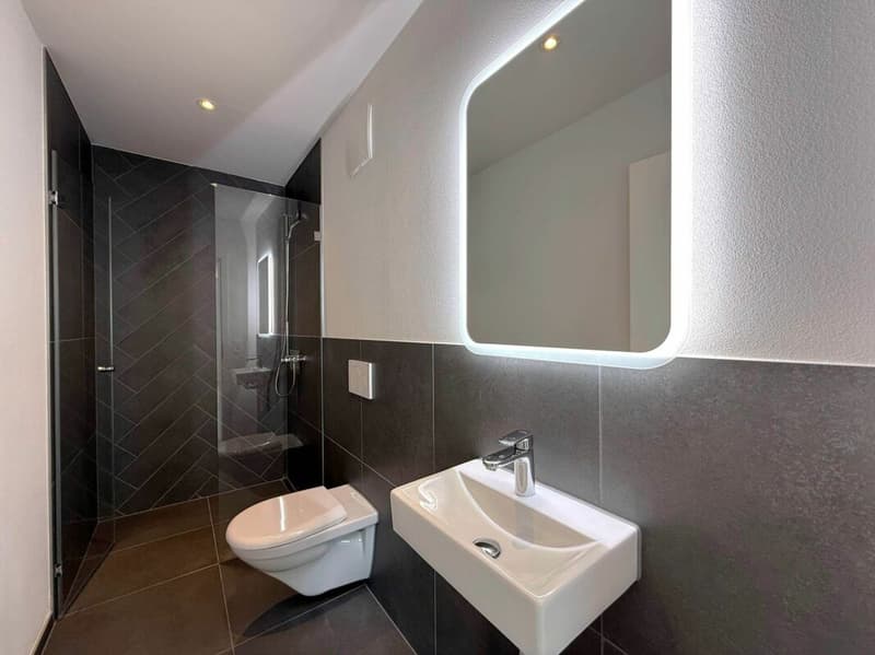Completely renovated 4.5-room apartments in the heart of Romanshorn (6)
