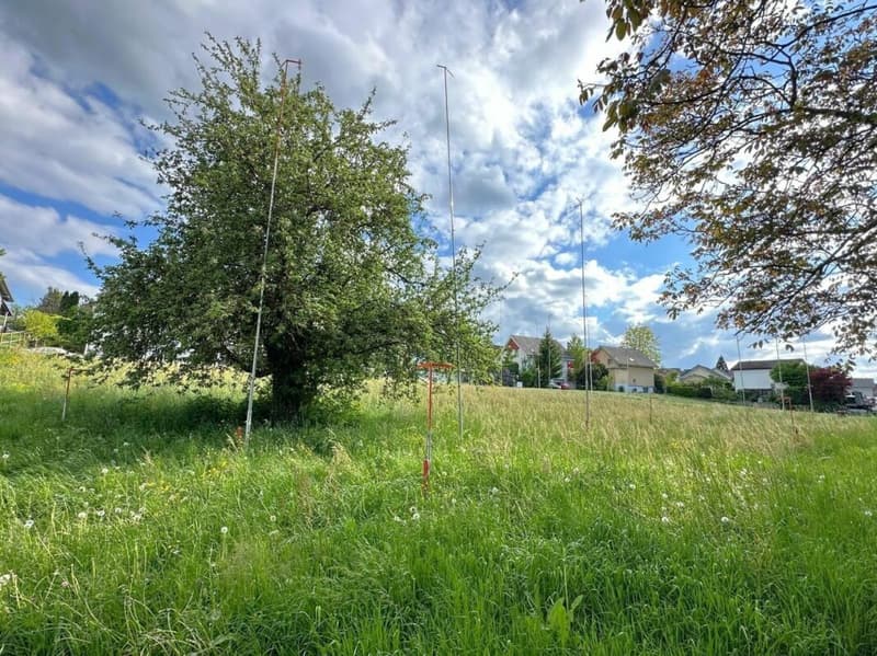 Ihr neues Zuhause im Grünen - Projekt Kleeblatt Pfyn (5)