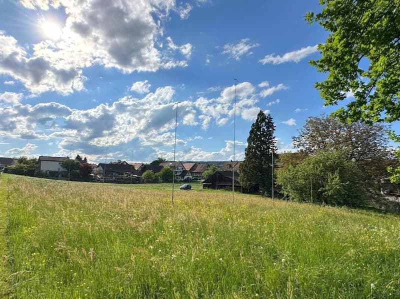 Your new home in the green - Project Kleeblatt Pfyn (5)