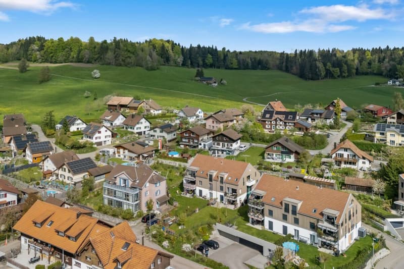Modern 4.5-room apartment with Alpine view (13)