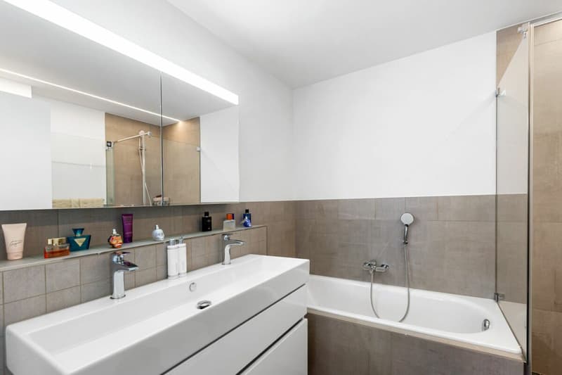 Modern 4.5-room apartment with Alpine view (12)