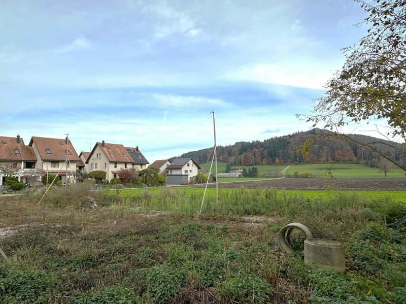 Panoramic View & Idyll - modern semi-detached house in Bichelsee (6)