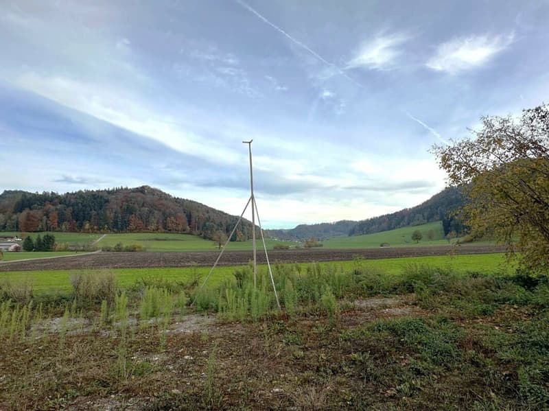 Panoramic View & Idyll - modern semi-detached house in Bichelsee (5)