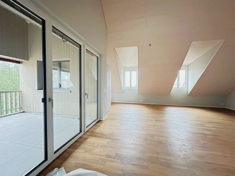 Last Chance: Stylish 3.5-room apartment in the new construction project "Frohegg" (6)