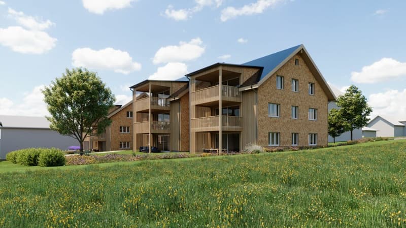 Living on Haldenbach - Sustainable Construction in Ganterschwil (1)