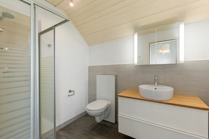 6.5-room house with plenty of surroundings and privacy (9)