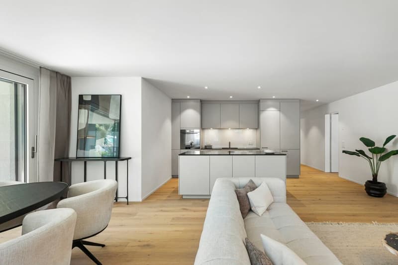 Appartements en propriété attrayants dans le Dussliger Landsitz (8)
