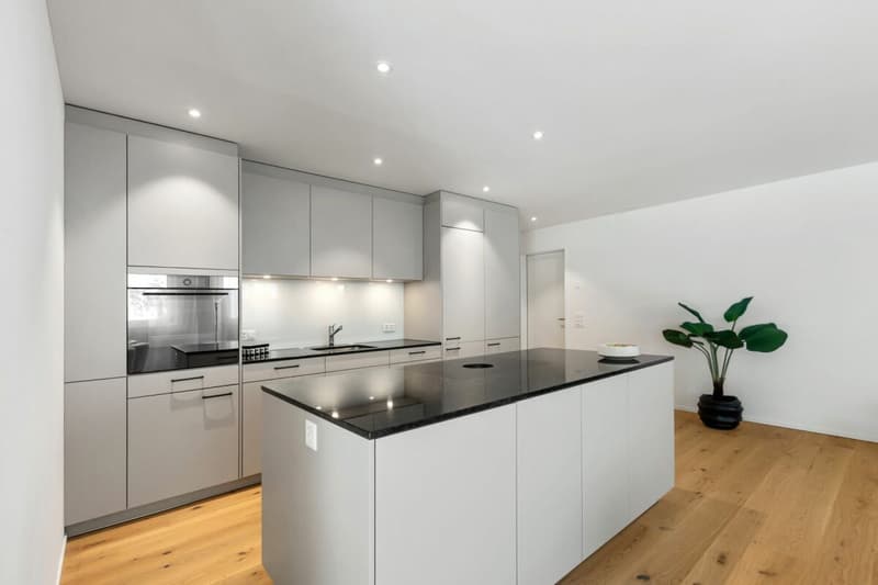 Appartements en propriété attrayants dans le Dussliger Landsitz (9)