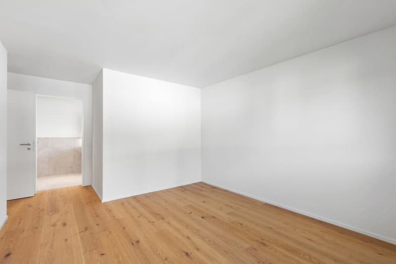 Appartements en propriété attractive dans le Dussliger Landsitz (12)