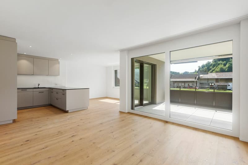 Appartements en propriété attractive dans le Dussliger Landsitz (7)