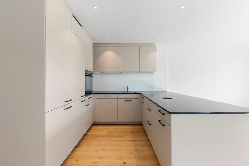 Appartements en propriété attractive dans le Dussliger Landsitz (5)