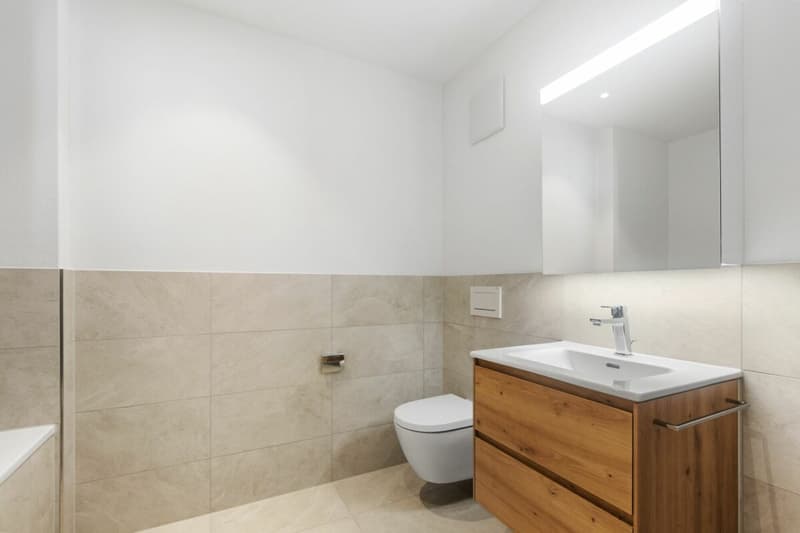 Appartements en propriété attractive dans le Dussliger Landsitz (13)