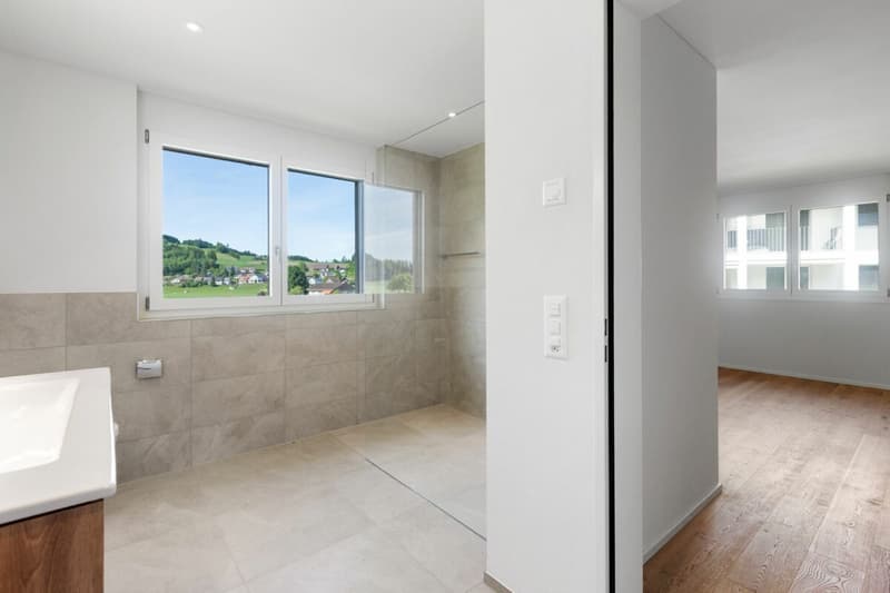 Appartements en propriété attractive dans le Dussliger Landsitz (10)