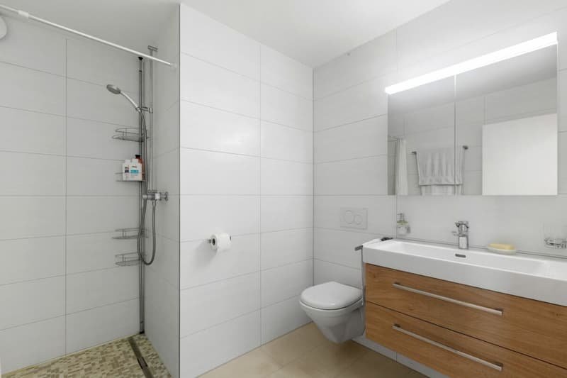 Ampio appartamento giardino 4.5 locali con area esterna vasta (12)