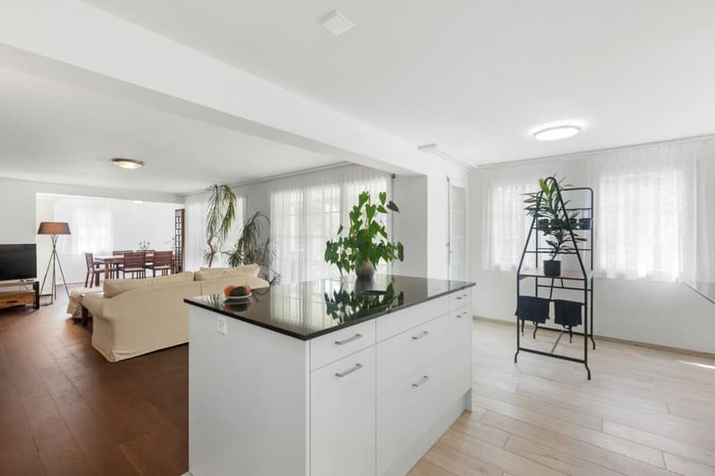 Ampio appartamento giardino 4.5 locali con area esterna vasta (7)