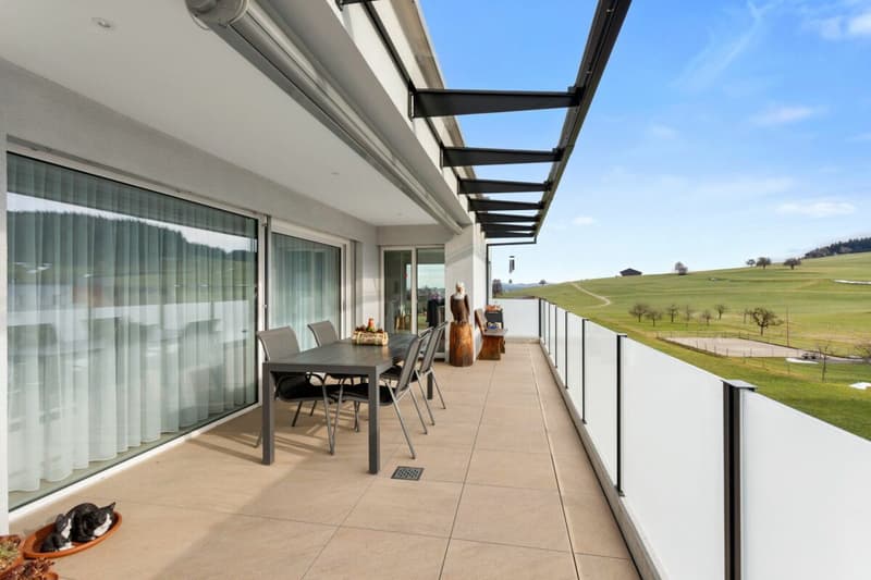 Brand new 4.5-room attic apartment with a wonderful view (1)