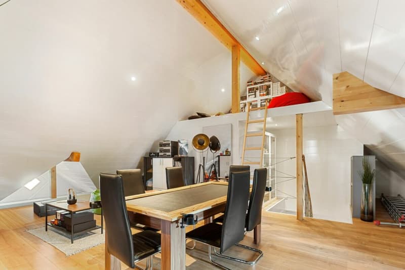 Habiter avec charme - appartement de toit neuf de 4,5 pièces (12)