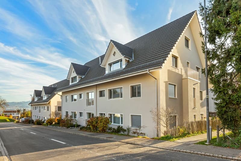 Habiter avec charme - appartement de toit neuf de 4,5 pièces (2)