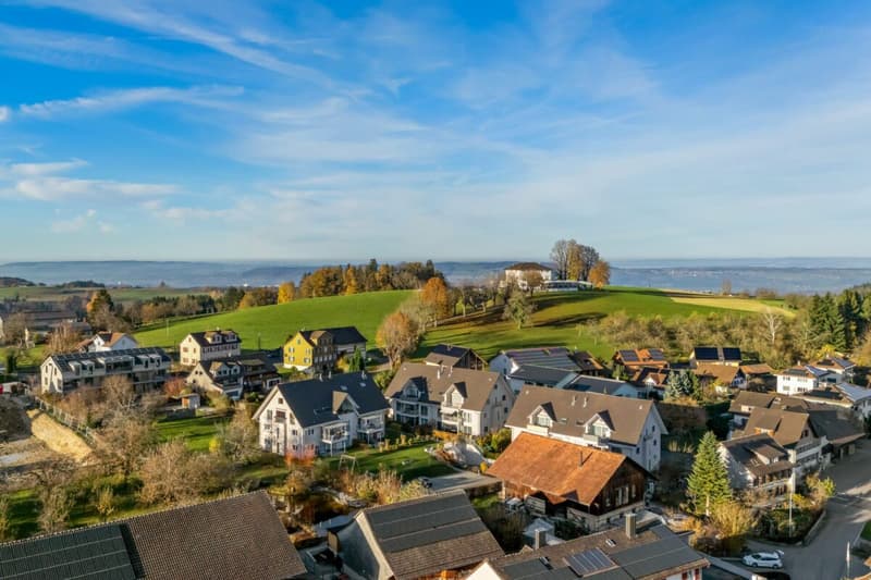Habiter avec charme - appartement de toit neuf de 4,5 pièces (1)