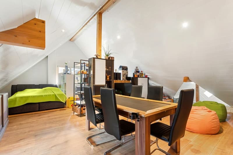 Habiter avec charme - appartement de toit neuf de 4,5 pièces (11)