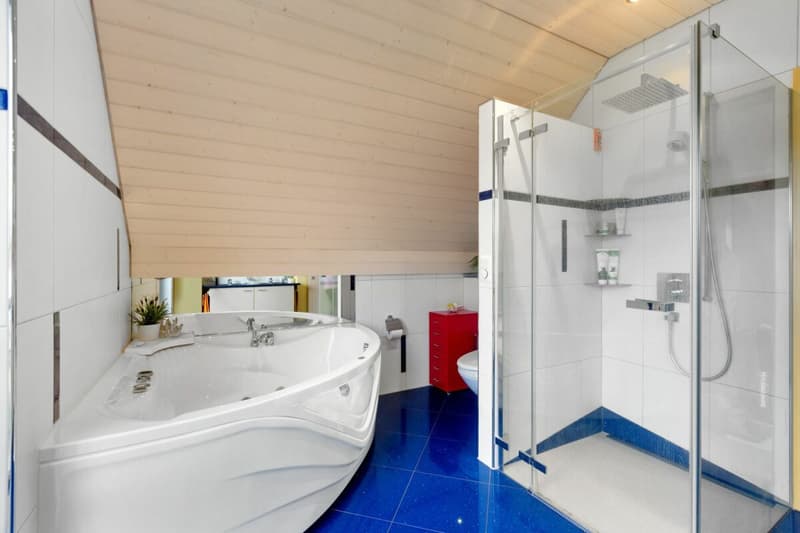 Maison individuelle avec jardin entretenu et garage unique (10)
