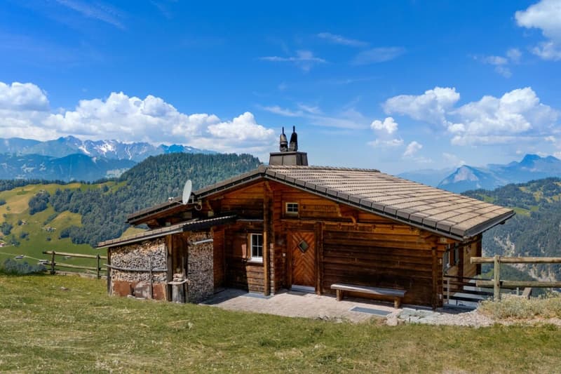 Bergidylle pur - 3.5-Zimmer-Ferienwohnung in Grüsch (4)