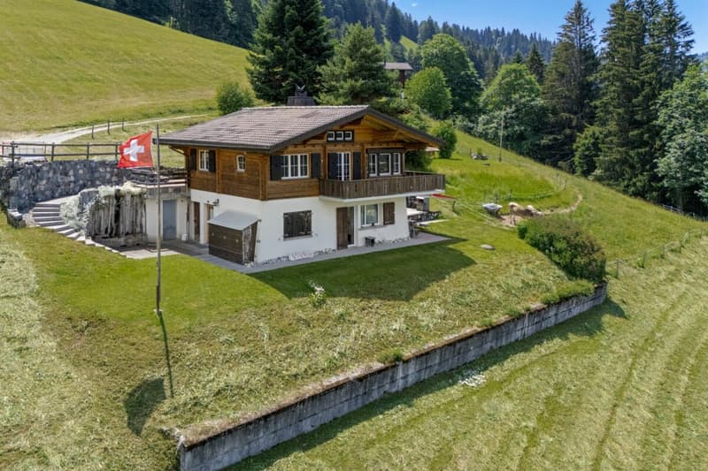 Bergidylle pur - 3.5-Zimmer-Ferienwohnung in Grüsch (1)