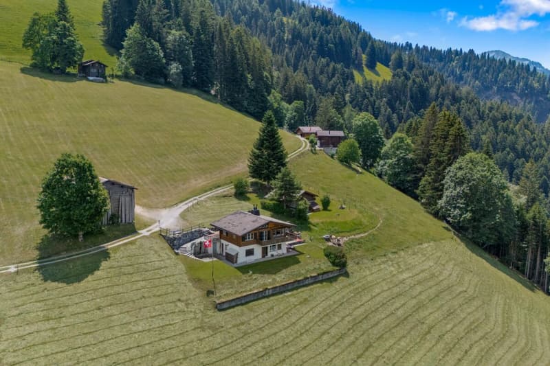 Bergidylle pur - 3.5-Zimmer-Ferienwohnung in Grüsch (16)