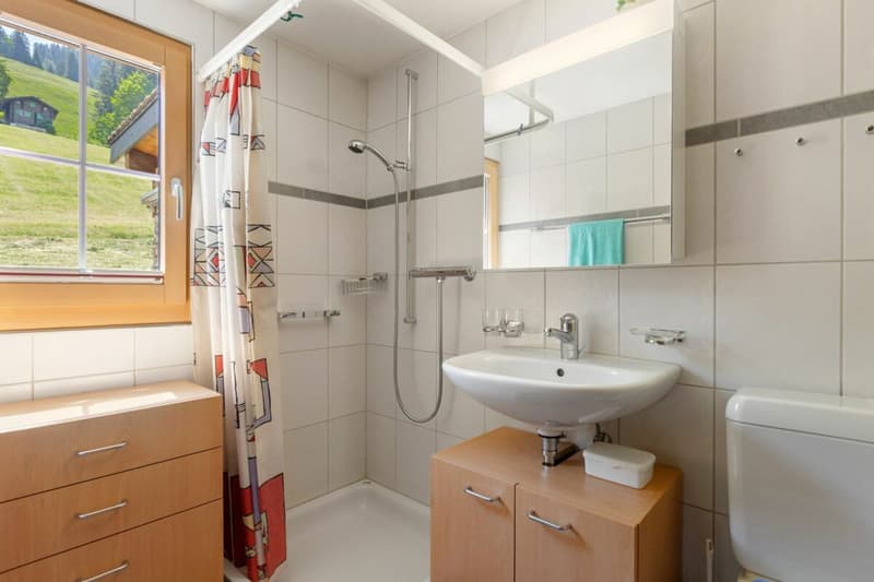 Bergidylle pur - 3.5-Zimmer-Ferienwohnung in Grüsch (11)