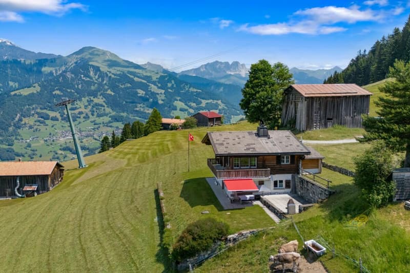 Bergidylle pur -  3.5-Zimmer-Ferienwohnung in Grüsch (15)