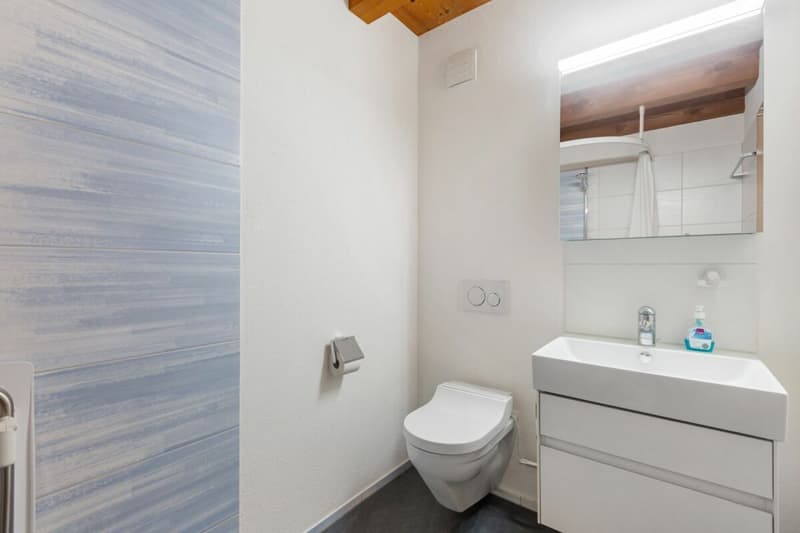 5.5-room row house between nature and city proximity (8)