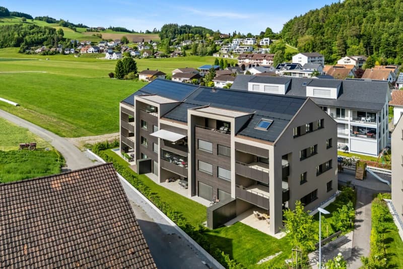 Attractive owner-occupied apartments in the Dussliger Landsitz (2)