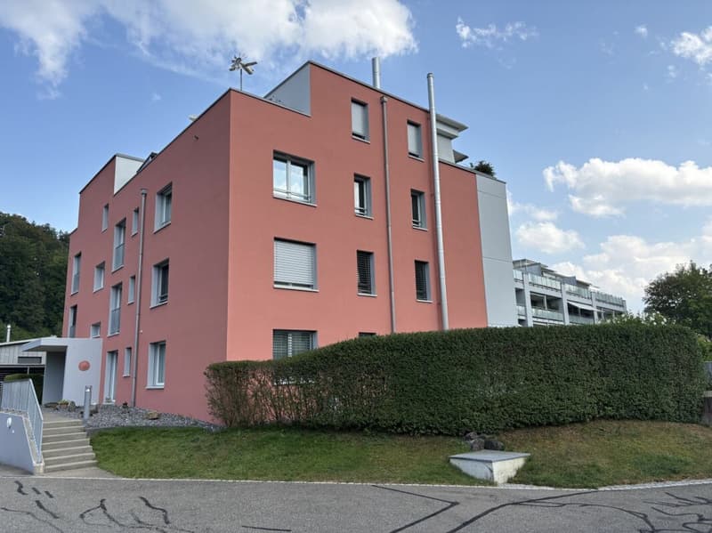 Appartement attractif de 4,5 pièces avec terrasse ensoleillée à 8486 Rikon (12)