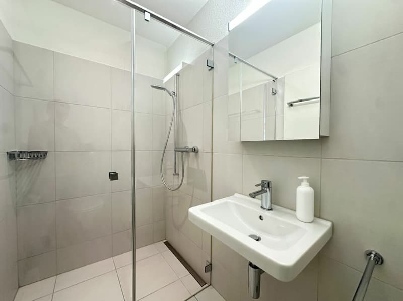 Appartement attractif de 4,5 pièces avec terrasse ensoleillée à 8486 Rikon (7)