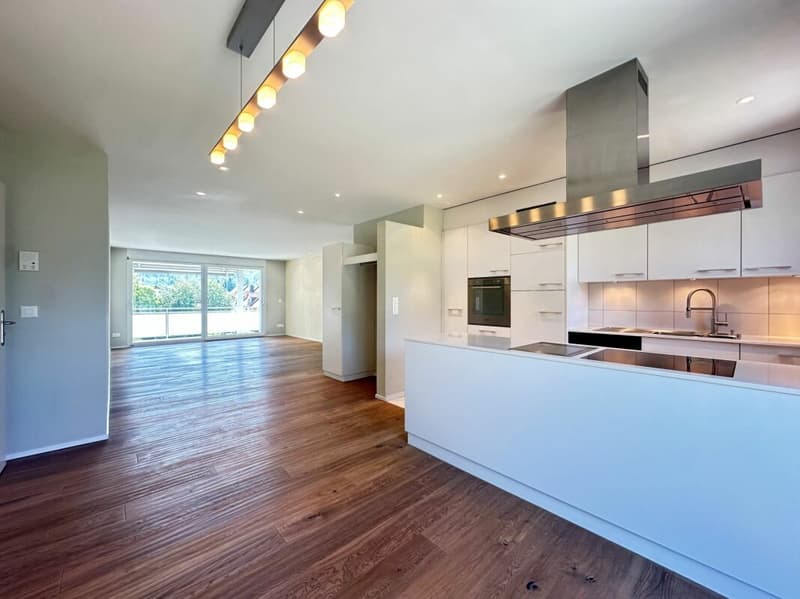 Appartement attractif de 4,5 pièces avec terrasse ensoleillée à 8486 Rikon (3)