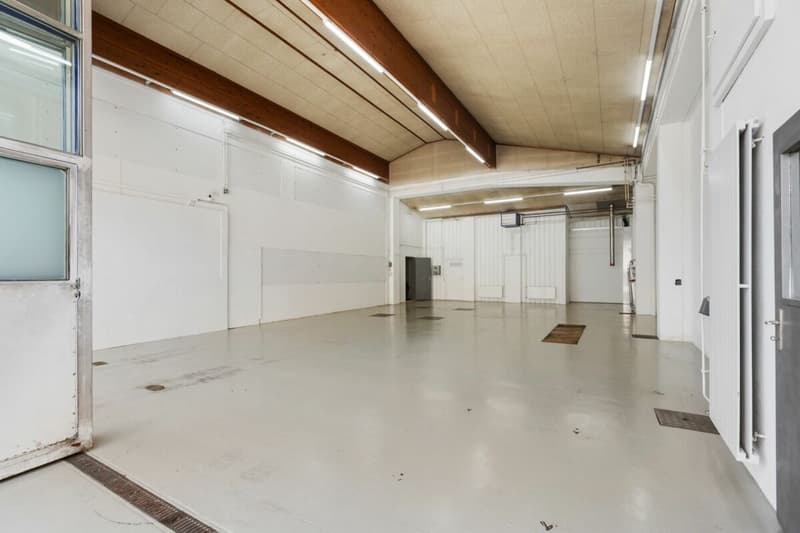 Sofort nutzbar - ausgebaute Gewerbehalle mit Aussenfläche (3)