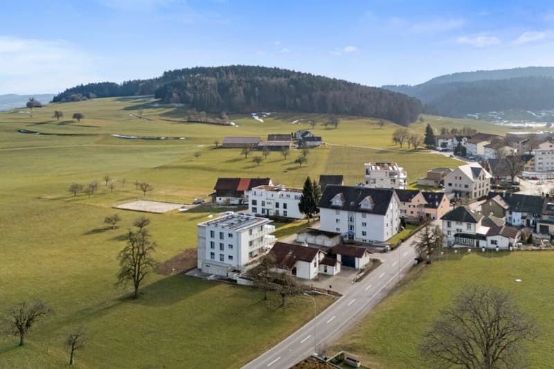 Grosszügige 4.5-Zimmer Attika mit Blick in die Natur (15)