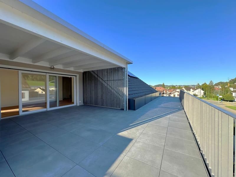 Sehr grosse Traumwohnung mit weitläufiger Terrasse und Weitblick (6)