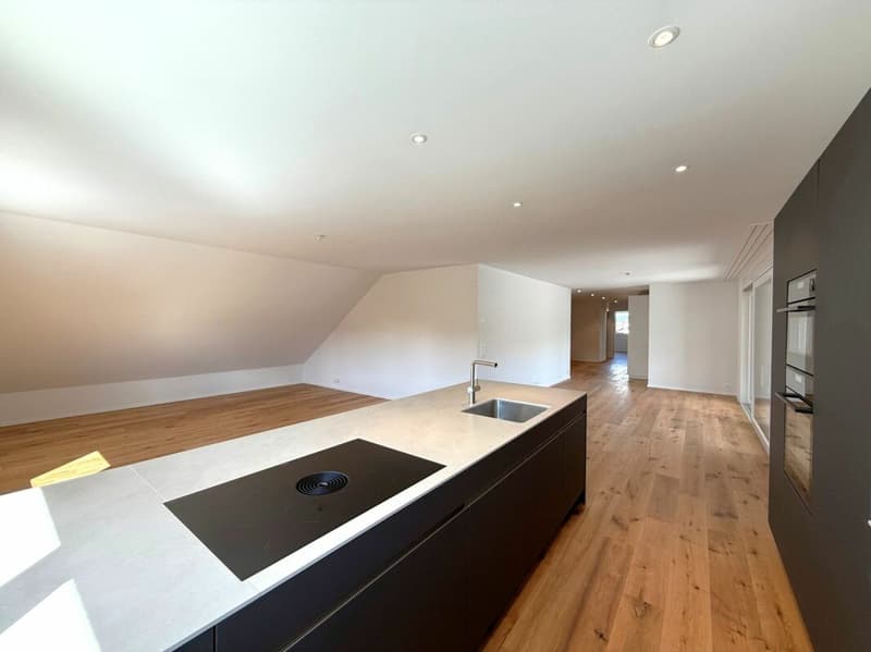 Sehr grosse Traumwohnung mit weitläufiger Terrasse und Weitblick (4)