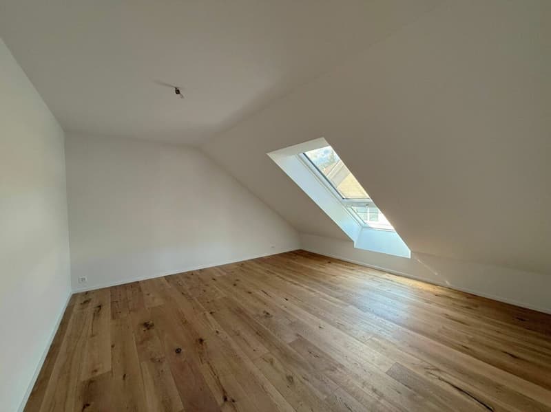 Sehr grosse Traumwohnung mit weitläufiger Terrasse und Weitblick (10)
