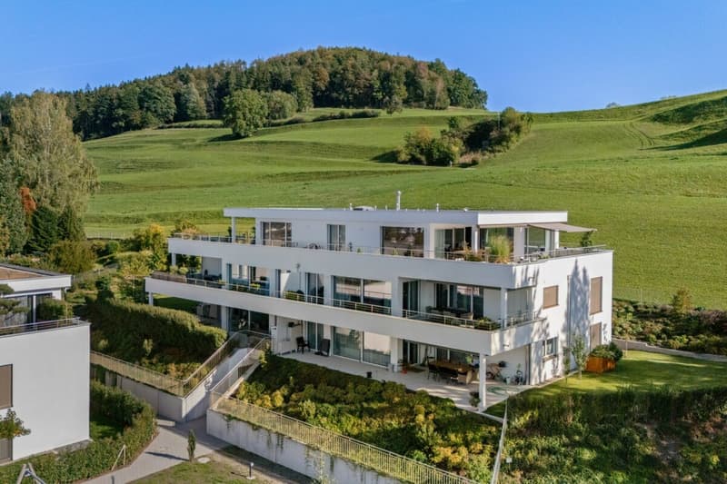 Modernes Wohnen mit Weitsicht - neuwertige 5.5-Zimmer-Gartenwohnung (1)