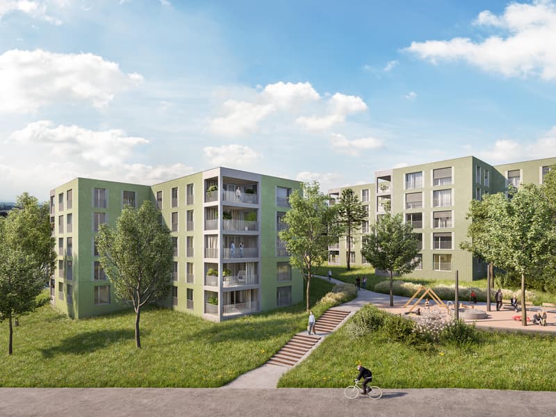 Appartement 5.5 pièces à Wädenswil (1)