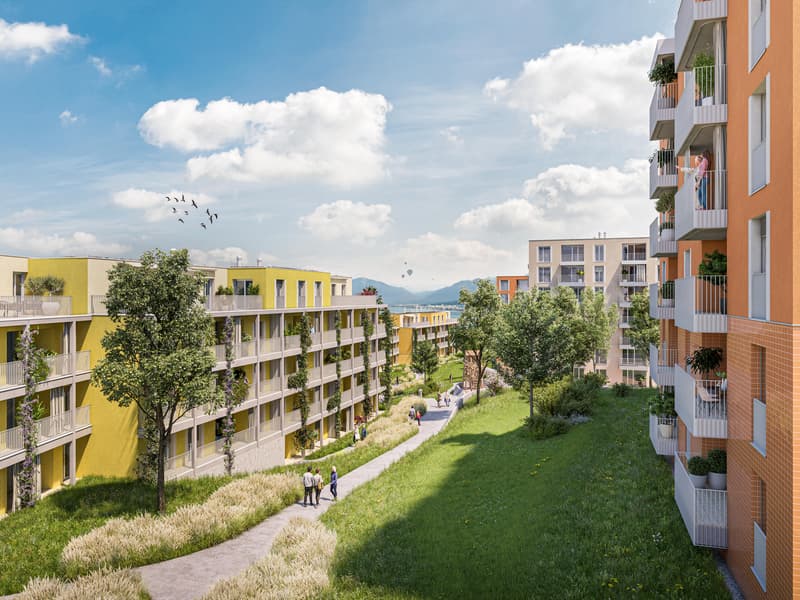 Bürofläche in Wädenswil (1)